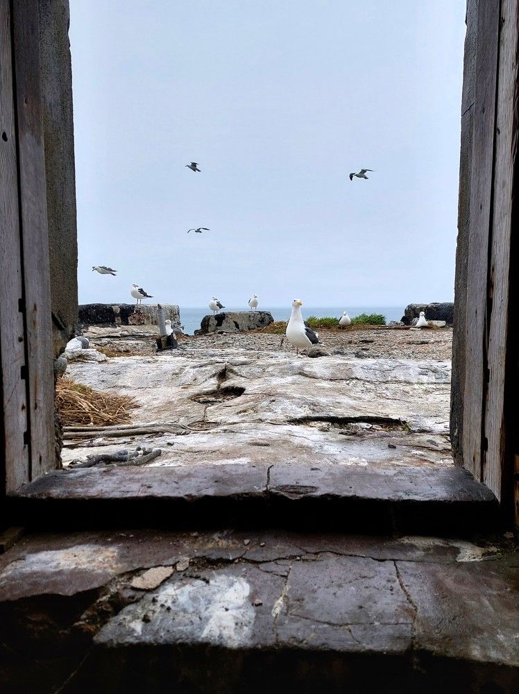 Photograph by Маринова Марина