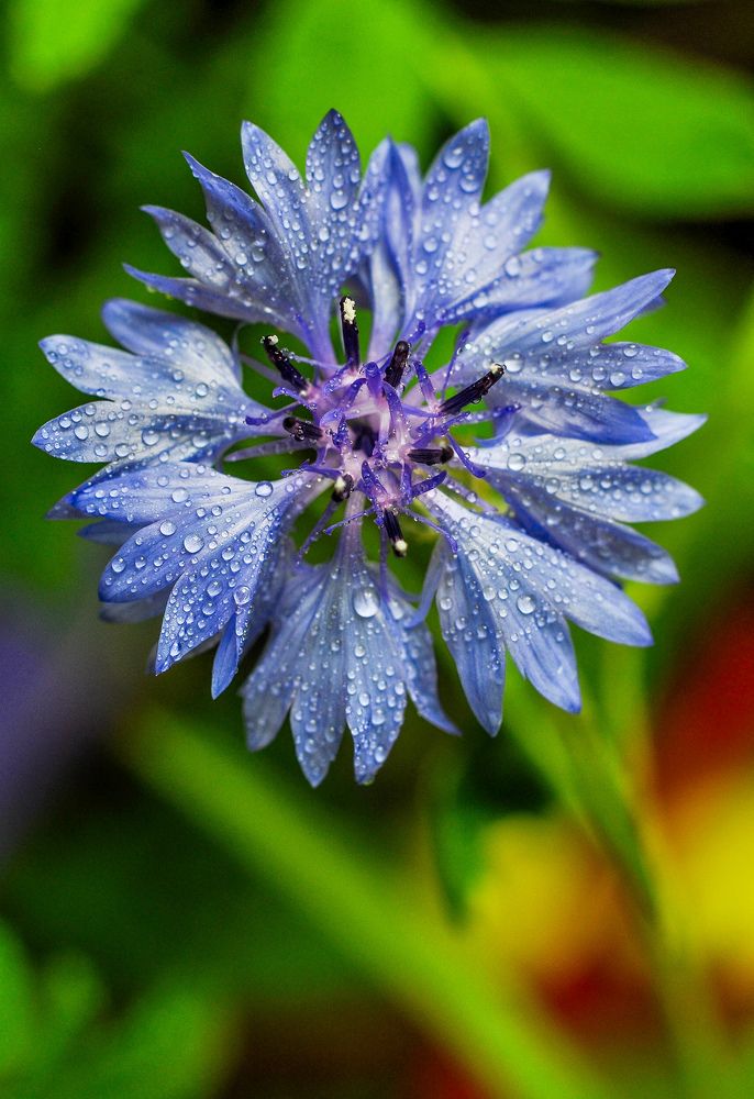 Photograph by Олеся zme