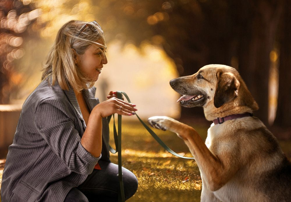 Фотография автора Ушакова Елена