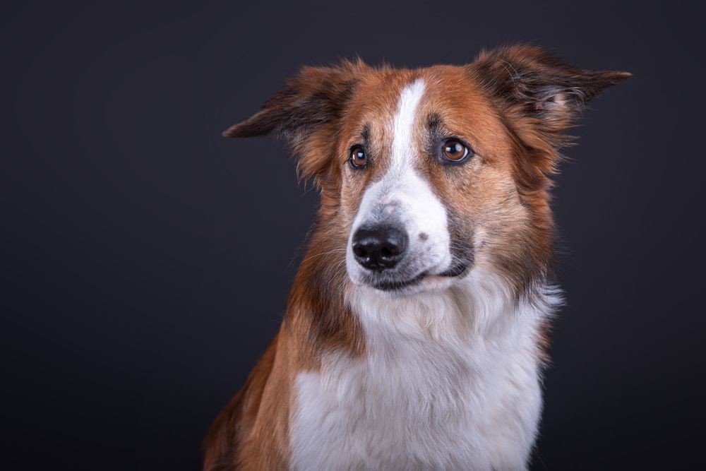 Photograph by наталья залогина