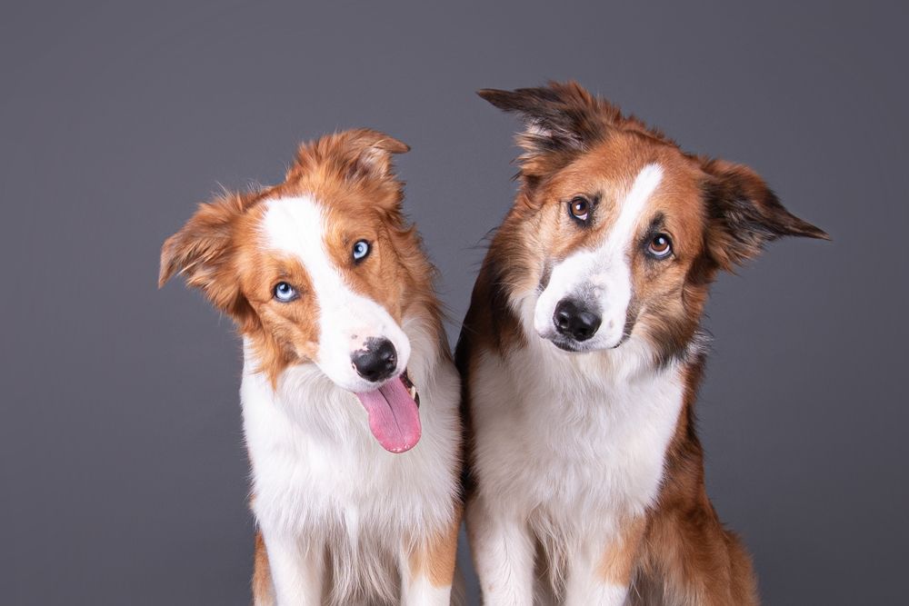 Photograph by наталья залогина