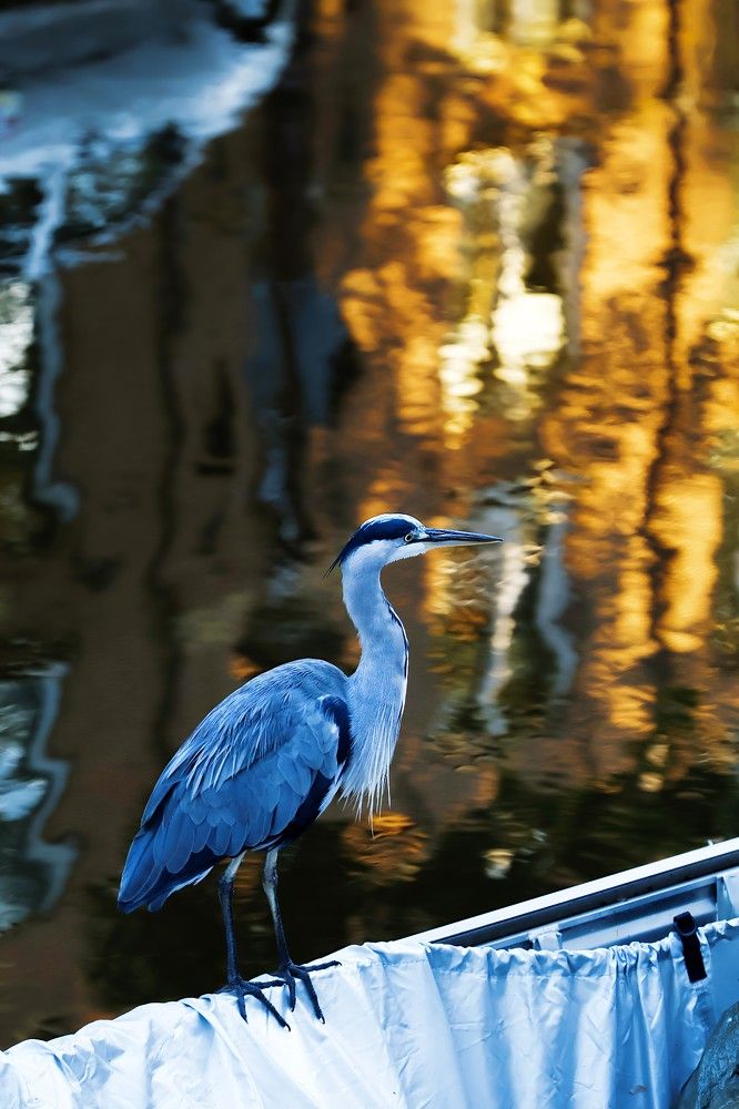 Photograph by Andrei Sabanov