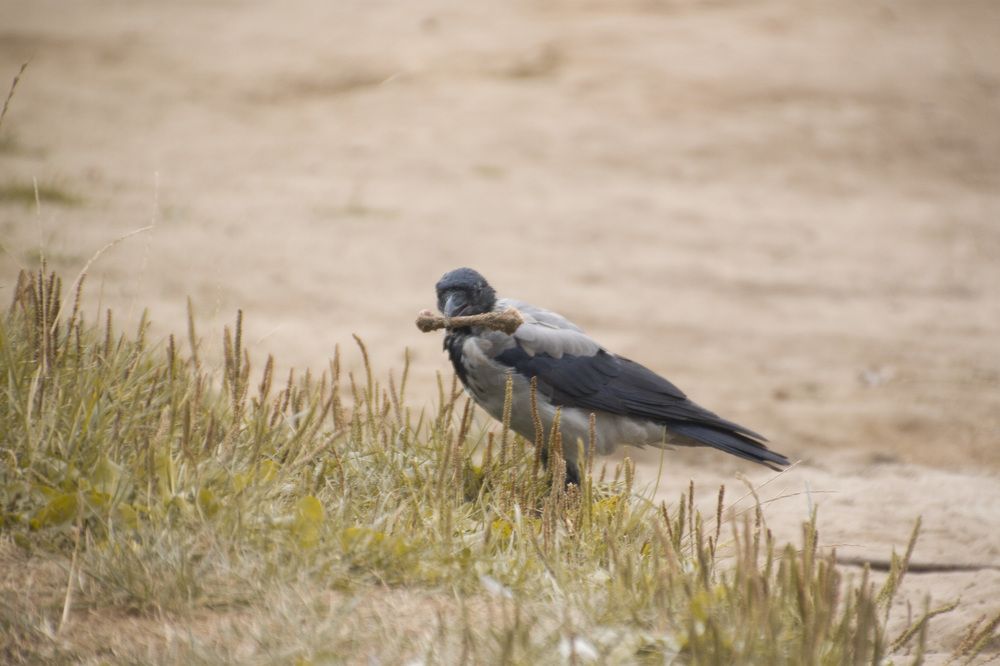 Photograph by Елена Иванова