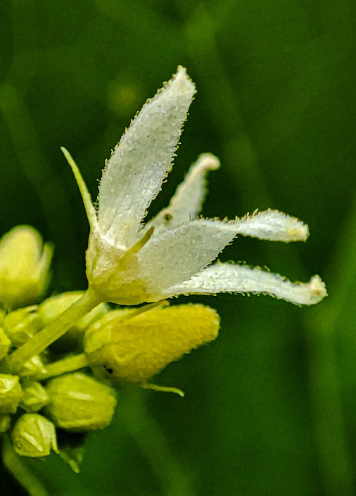 Photograph by Алёна Пшеленская