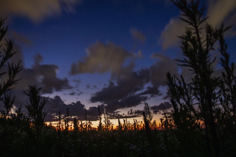 Photograph by Владислав Циклинский