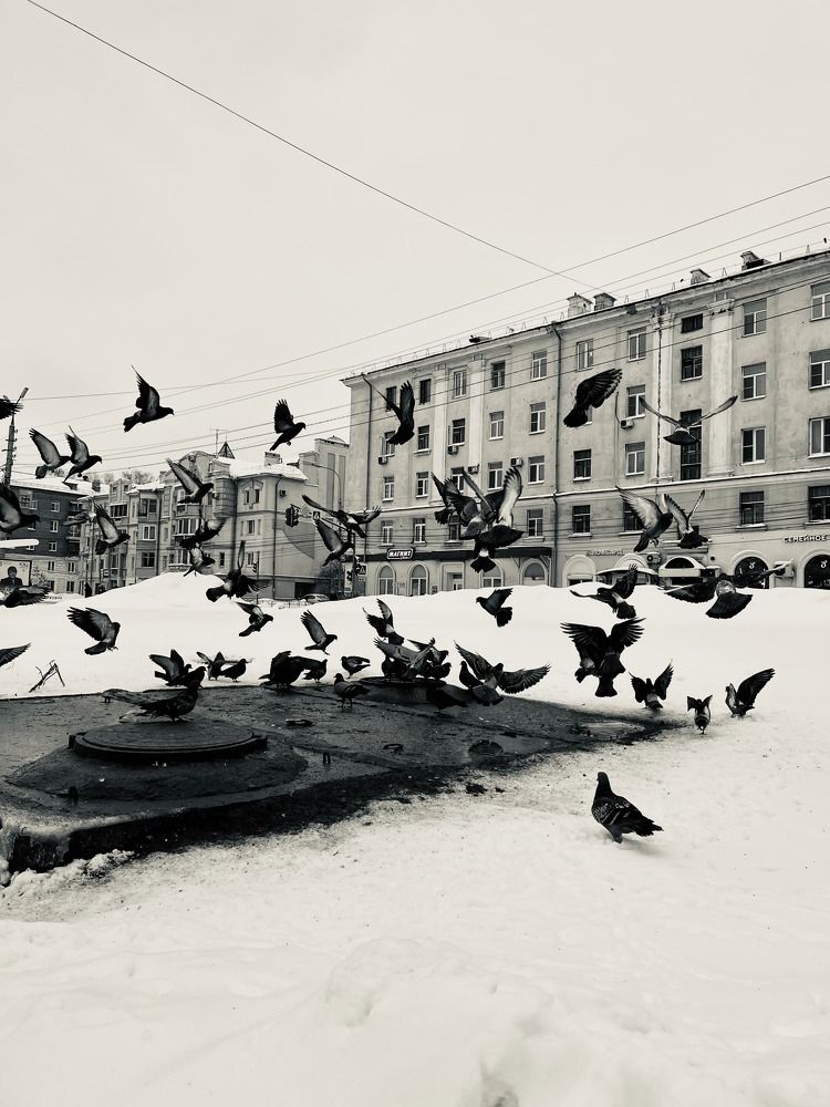 Photograph by Елена Карпухно