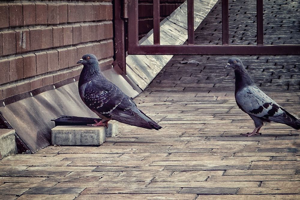 Фотография автора Олег Васильев