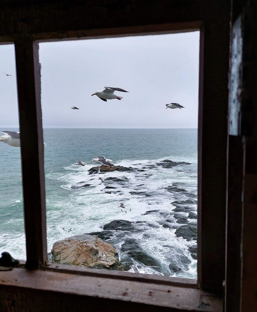 Photograph by Маринова Марина