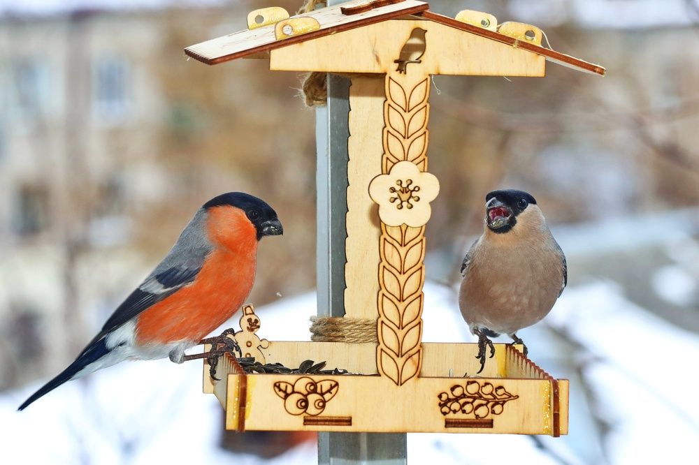 Photograph by Татьяна Бравая