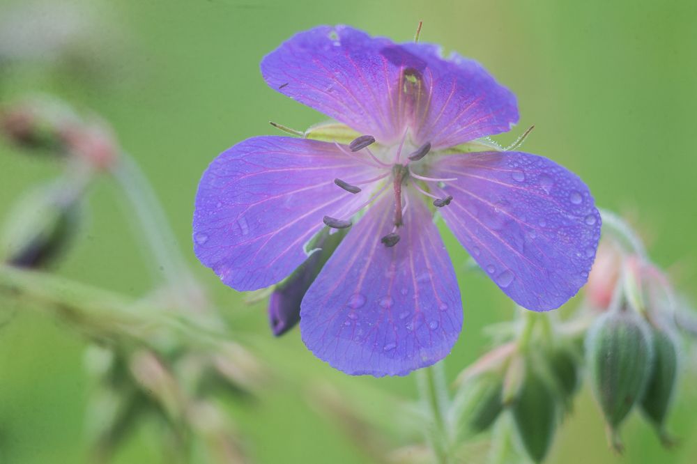 Photograph by Иван Овчинников