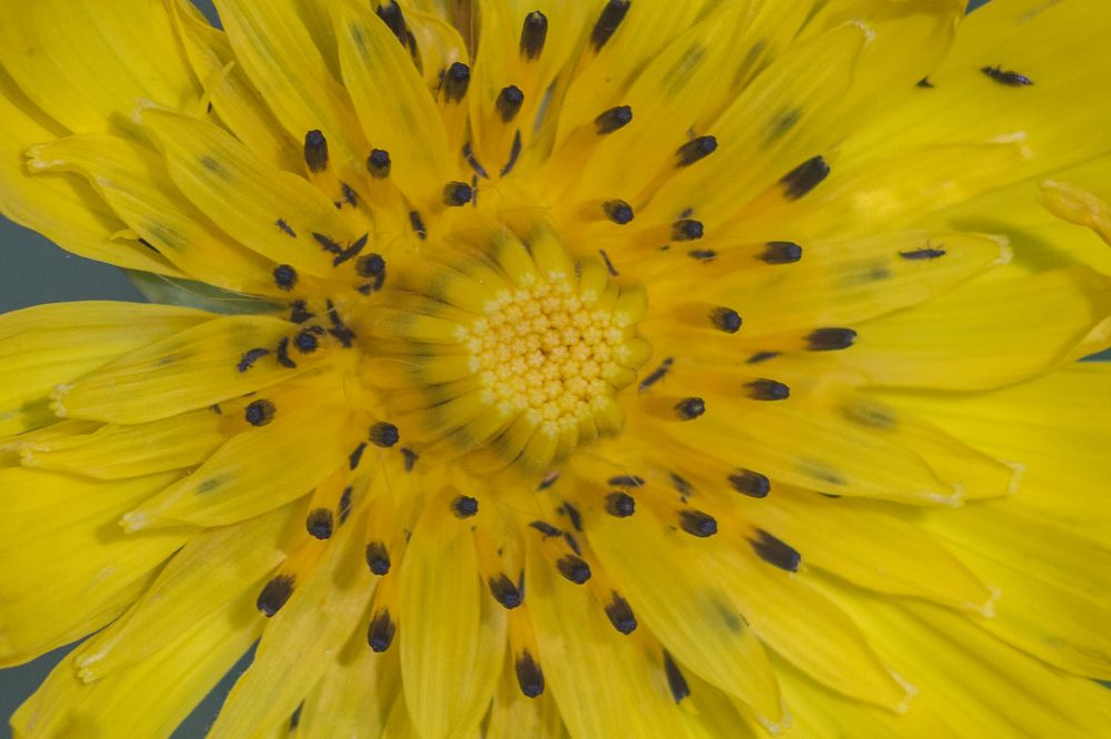 Photograph by Иван Овчинников