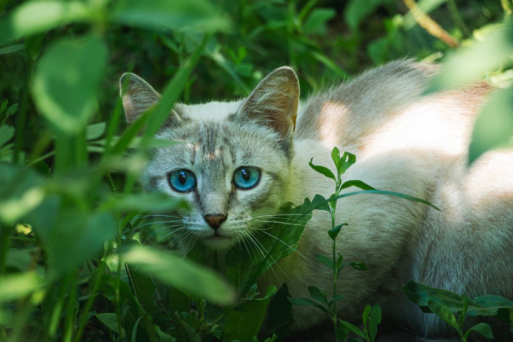 Фотография автора Владислав Белоус