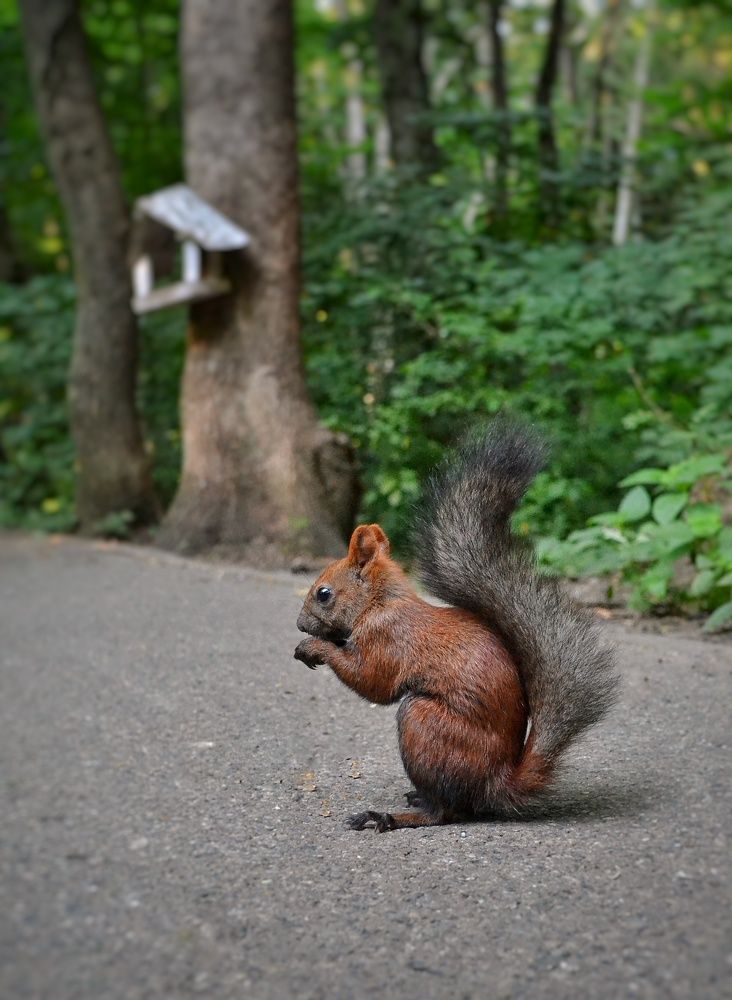 Фотография автора Олег Васильев
