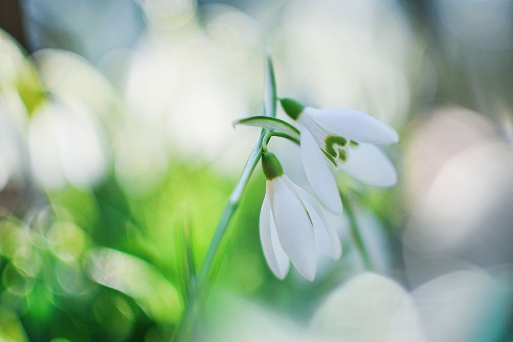 Photograph by María Gromiko