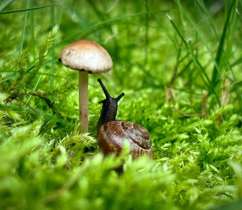 Photograph by Марина