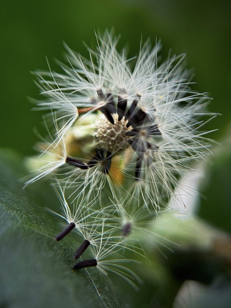 Photograph by Елена Цацулина