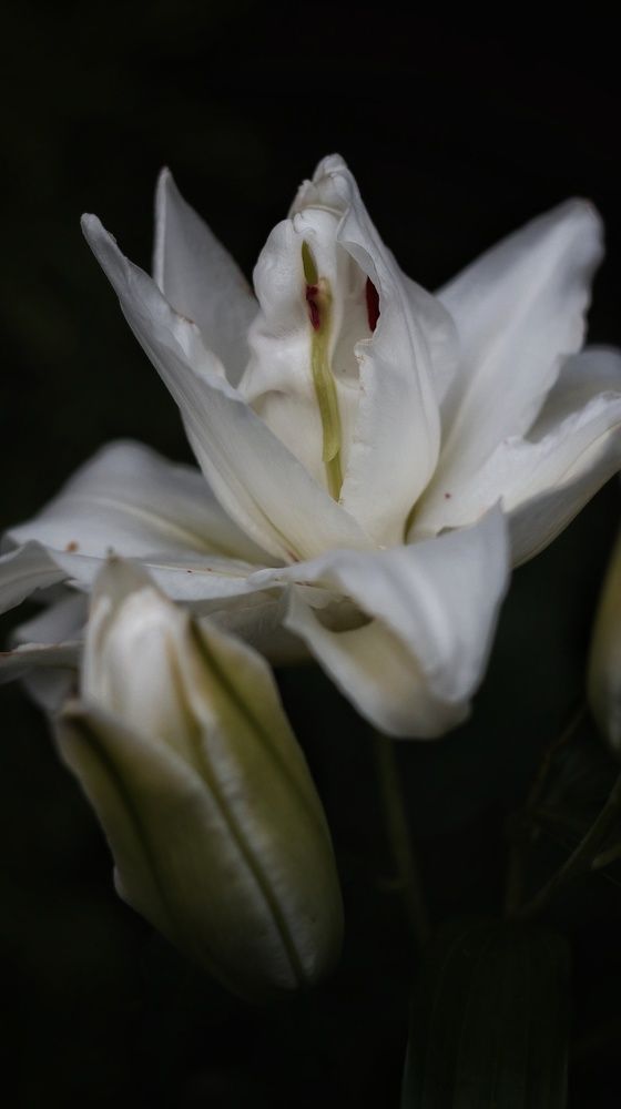 Photograph by Татьяна Федченко