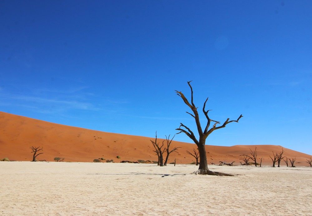 Photograph by Branko Krcmar