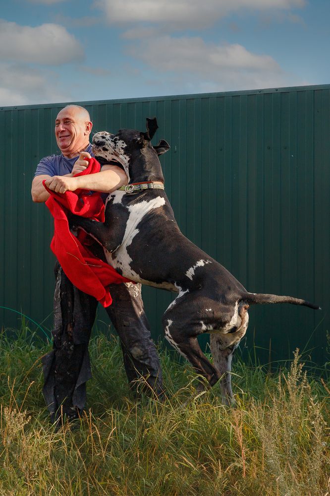 Photograph by Людмила Бандурина