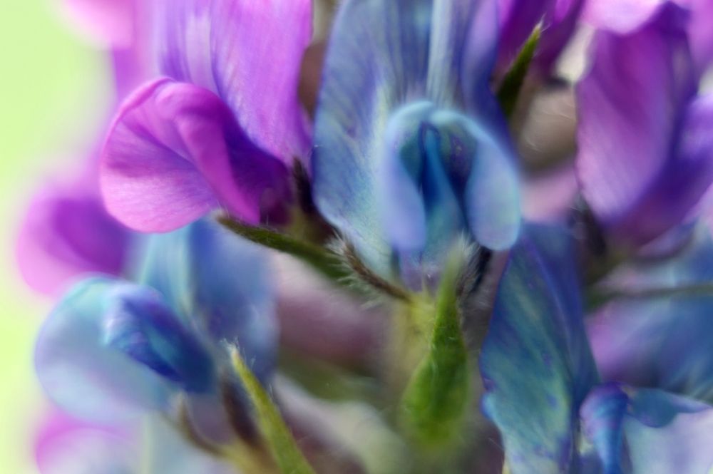 Photograph by Nadezhda