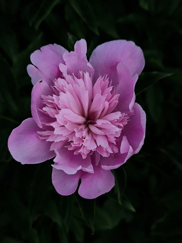 Photograph by Татьяна Яцкевич