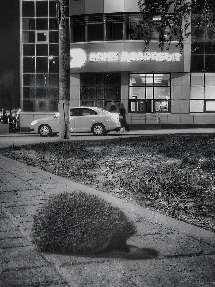 Photograph by Александра Кропивка