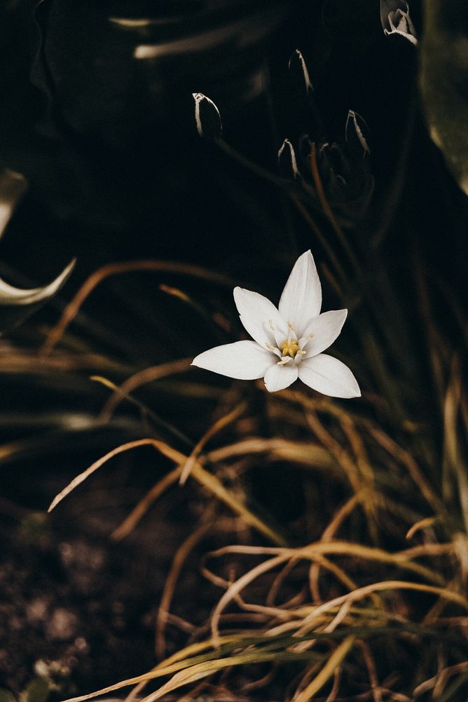 Photograph by Анастасия Черкасова