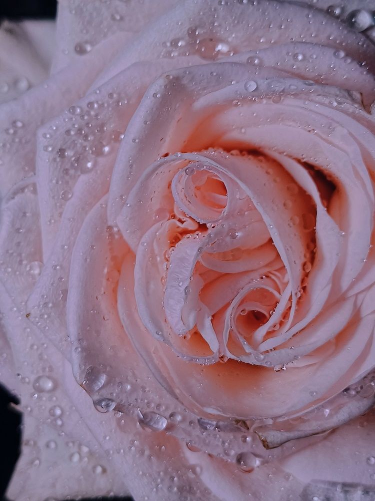 Photograph by Anastasiya Danilova