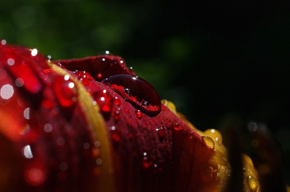 Photograph by Наталья Камайкина