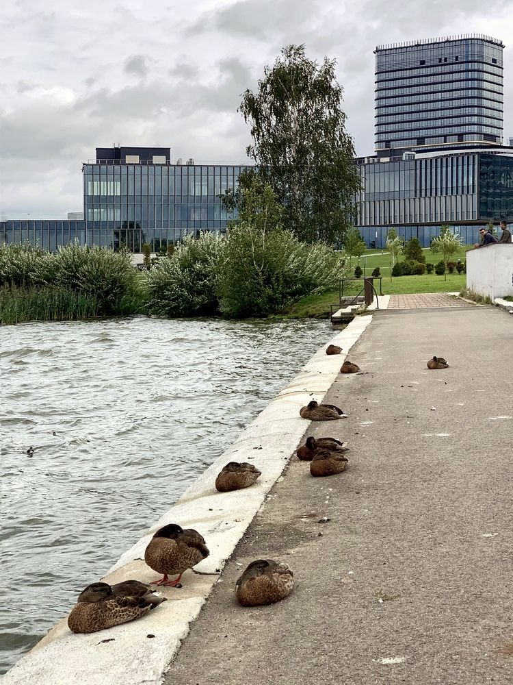 Photograph by Надежда Смирнова