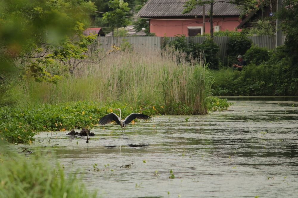 Photograph by Наталья Никитенко