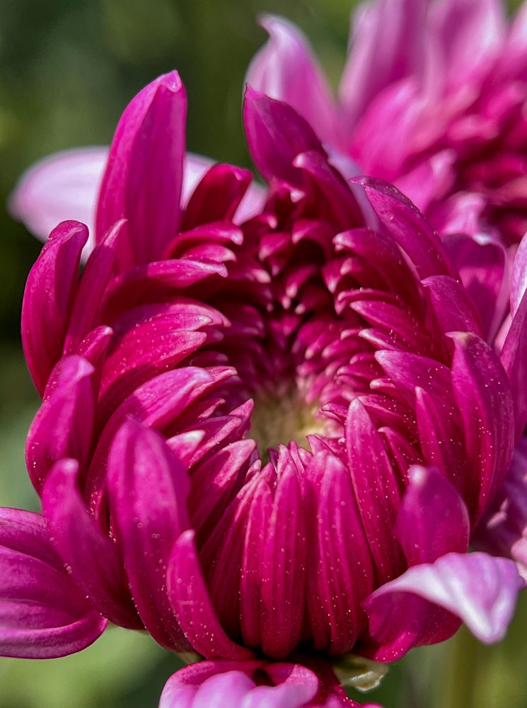 Photograph by Souvik Bhowmik