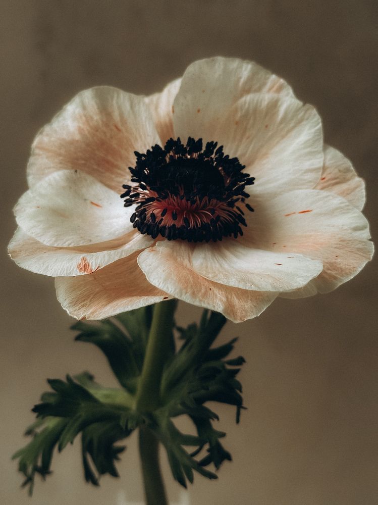 Photograph by Аленa Пономарева