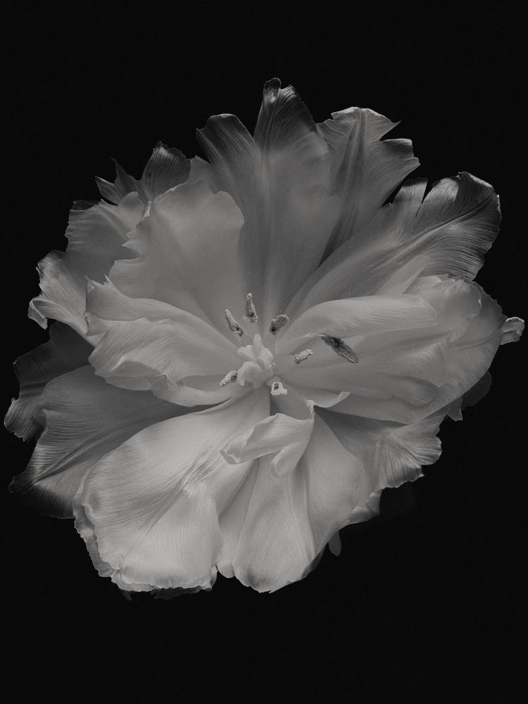 Photograph by Аленa Пономарева