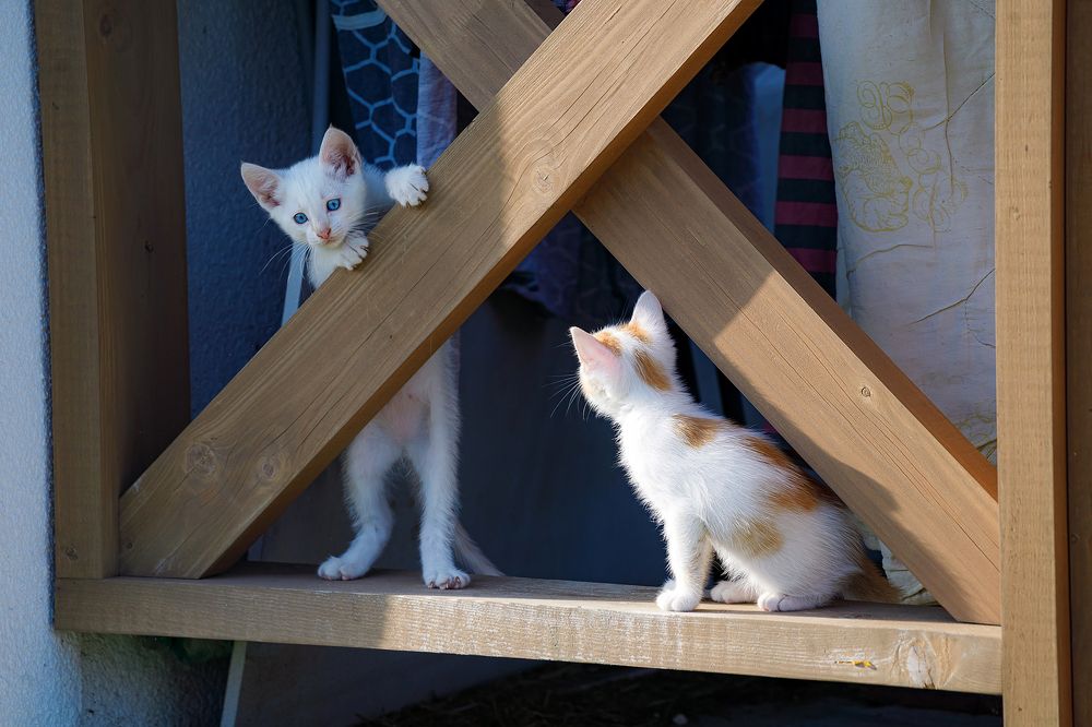 Photograph by Людмила Бандурина