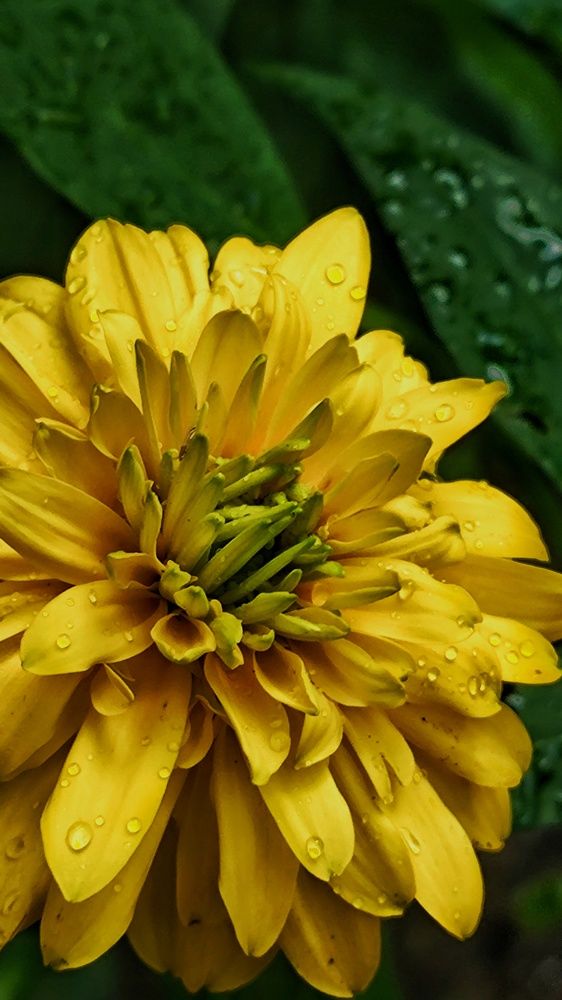 Photograph by Ирина Горбач