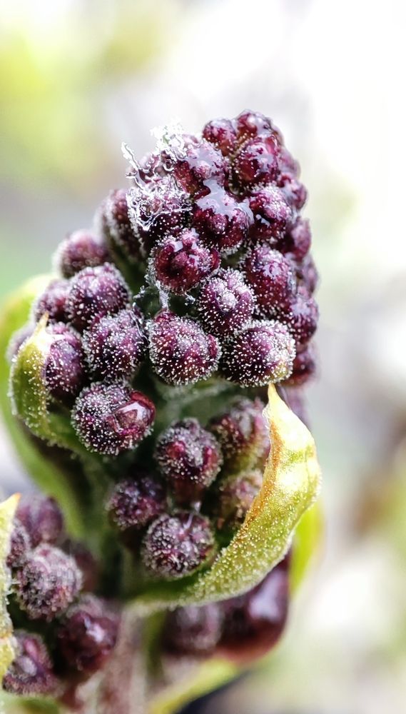 Photograph by Марина Артемьева