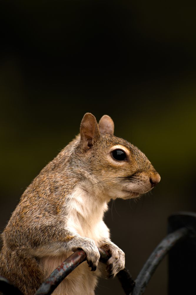 Photograph by Ángel Esteban