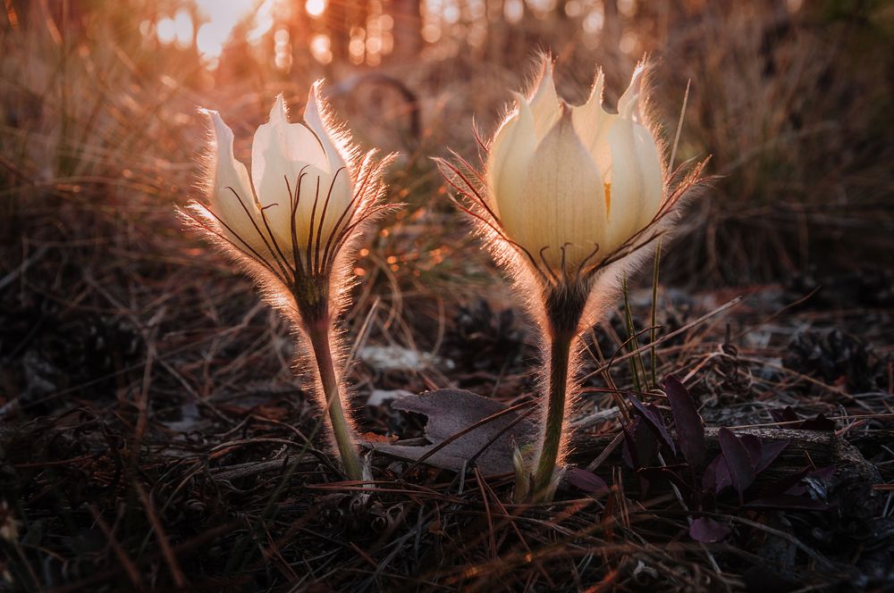 Photograph by Илья Толстоноженко