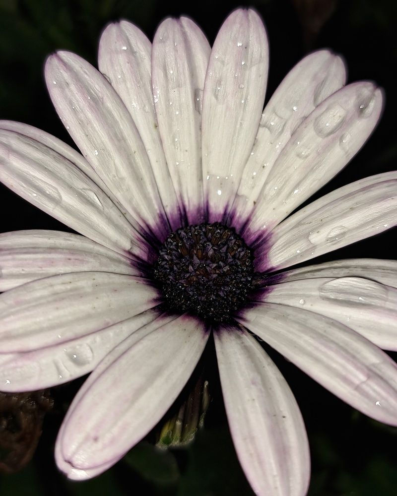 Photograph by Оксана Юдина