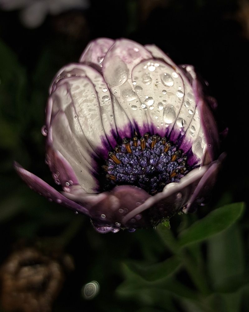 Photograph by Оксана Юдина