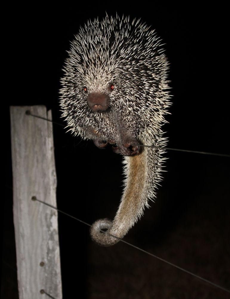 Photograph by Valdir Hobus