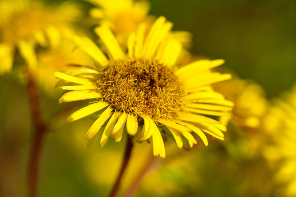 Фотография автора Дмитрий Рудь