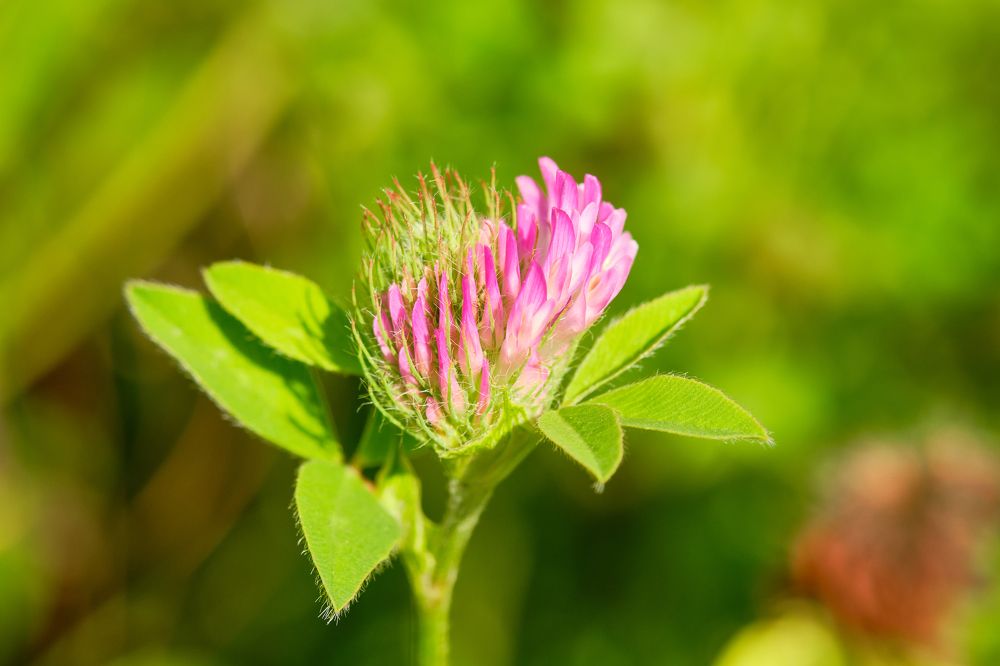 Фотография автора Дмитрий Рудь