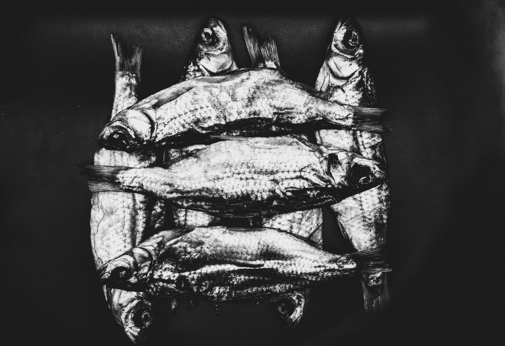 Photograph by Yana Egorova