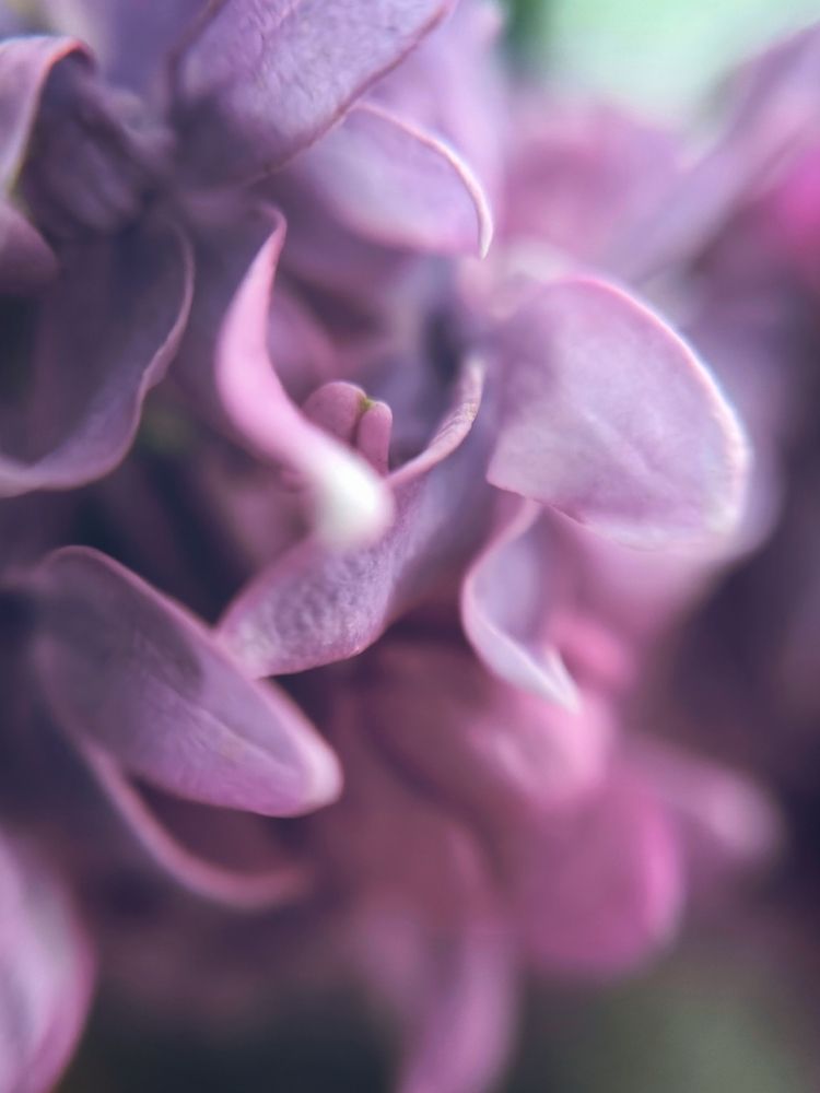 Фотография автора Екатерина Солодовник