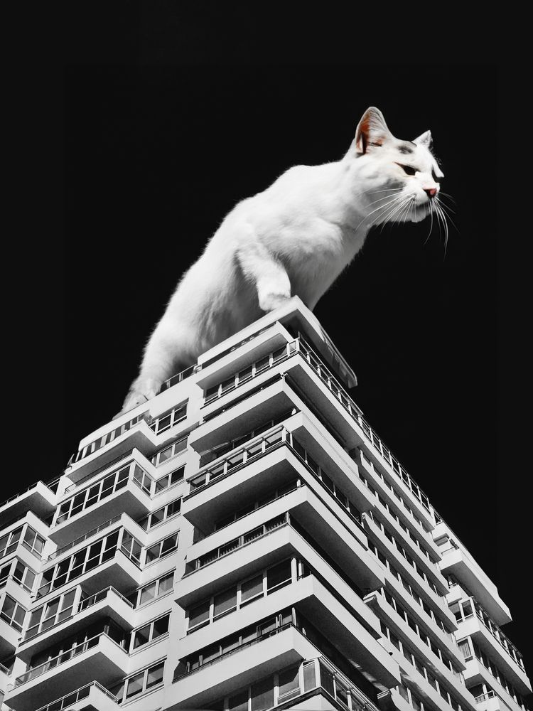 Photograph by Анна Федотова