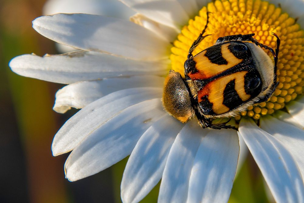 Photograph by Кадырова Марина