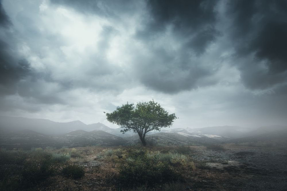 Photograph by Sergey Shilling