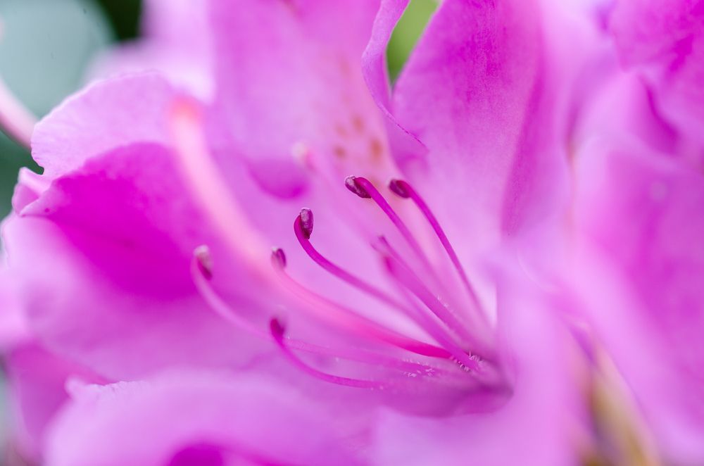 Photograph by Анастасия Кашенко